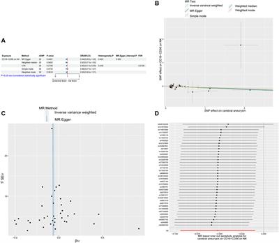 A mendelian randomization study investigates the causal relationship between immune cell phenotypes and cerebral aneurysm